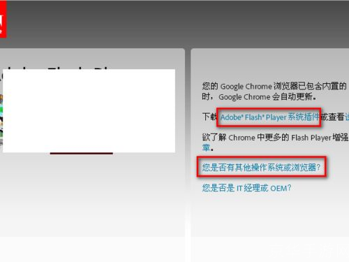 adobe flash player不是最新版本: 升级Adobe Flash Player至最新版本的重要性及步骤