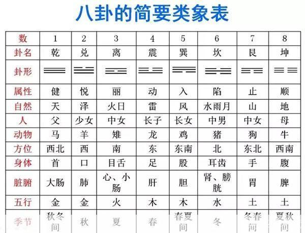 探索梅花易数的使用方法