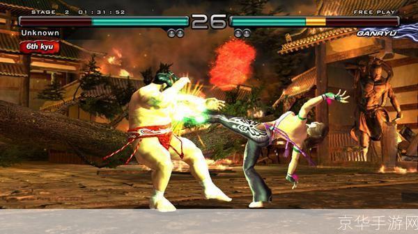 ps2铁拳5怎么用: PS2铁拳5游戏操作指南