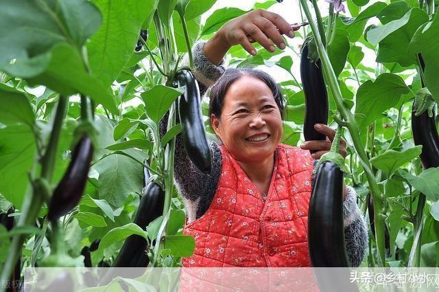 茄子视频128877怎么安装: 详细步骤教你如何安装茄子视频128877
