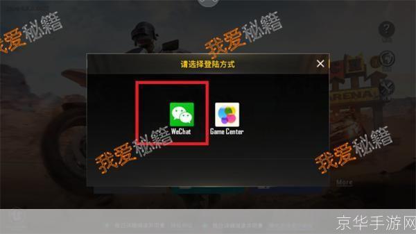 如何在iOS设备上安装刺激战场国际服