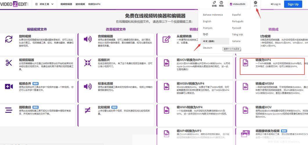 视频格式转换器安装指南