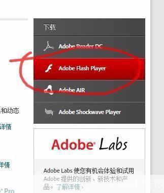 如何正确安装Adobe Flash Player官方版