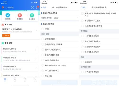 如何安装和使用个人所得税App
