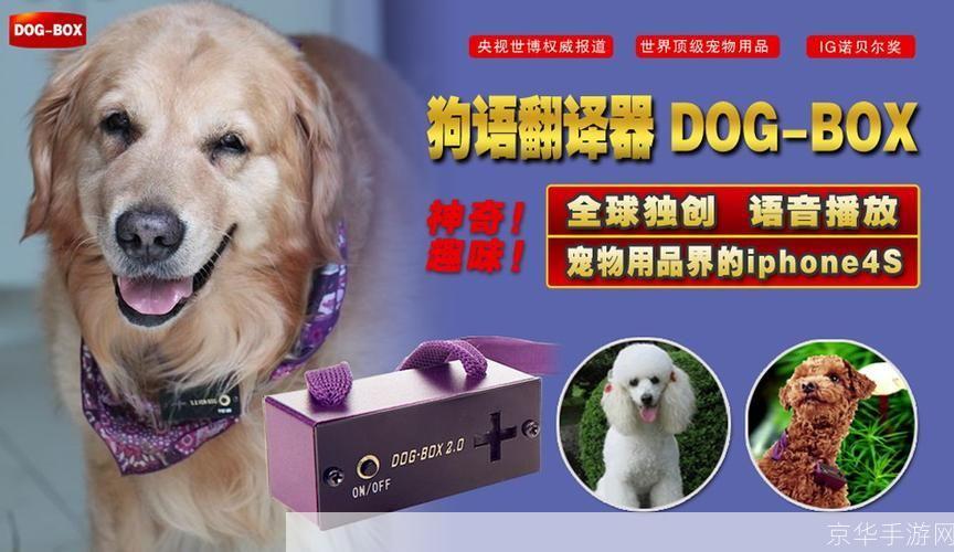 狗语言翻译器：揭秘宠物狗的沟通秘密