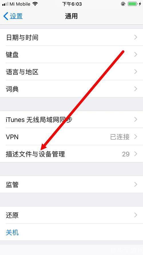 迅雷ios版怎么用2019: 2019年迅雷iOS版使用指南
