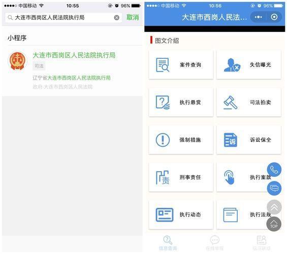 中国庭审公开网APP使用指南