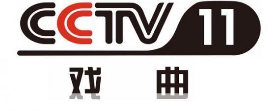 cctv播放器怎么安装: 详细步骤教你如何安装CCTV播放器