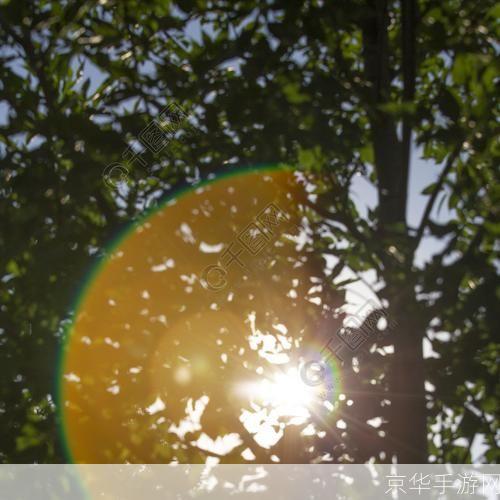 光晕怎么用: 光晕的使用方法及其在摄影中的应用