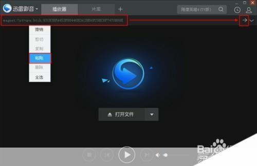 迅雷影音播放器官方安装教程