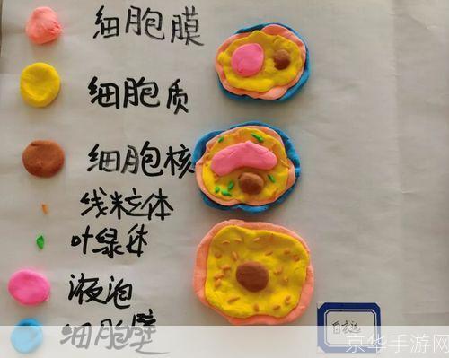 探索真菌世界的奥秘：如何利用真菌进行生物科技研究