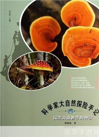 探索真菌世界的奥秘：如何利用真菌进行生物科技研究