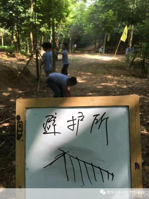丛林之狐的运用策略：如何在野外生存和狩猎