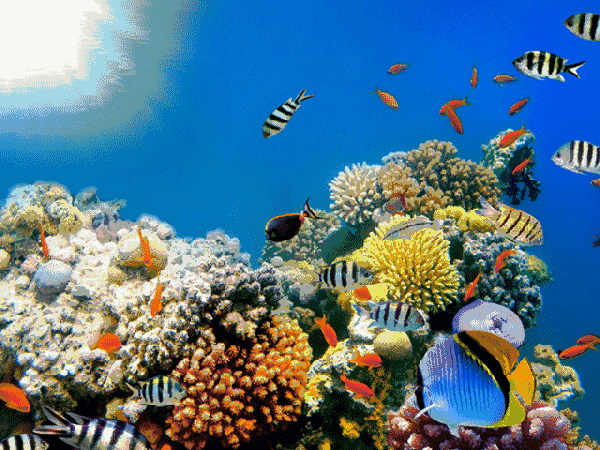 水族馆动态屏保的安装步骤详解