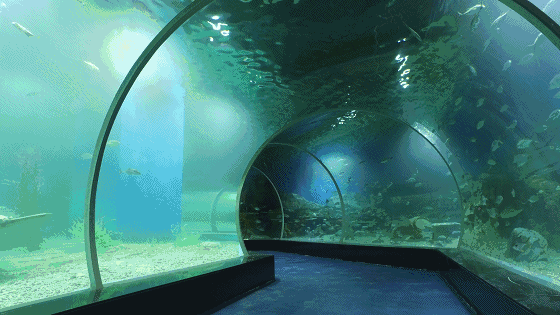 水族馆动态屏保的安装步骤详解