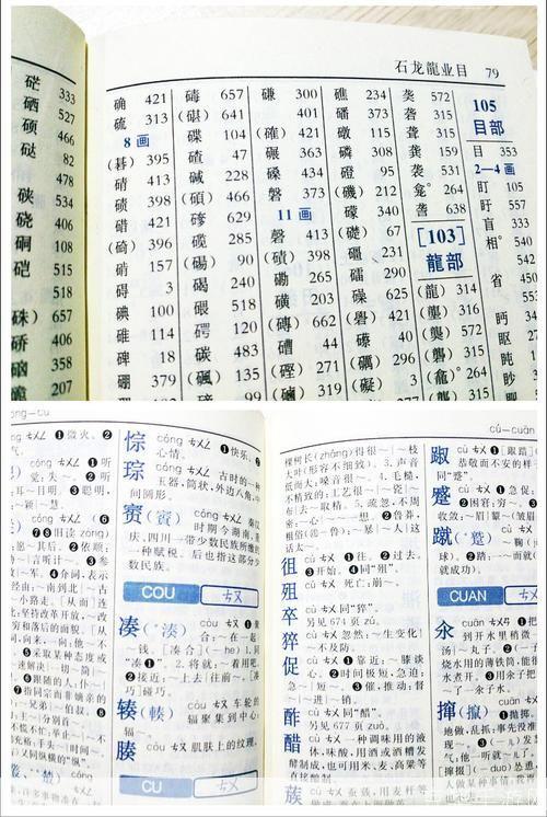 新华字典的安装步骤详解