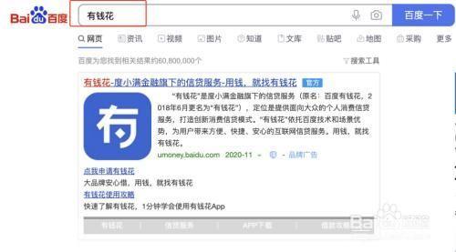 如何安装有钱花官方APP——详细步骤指南