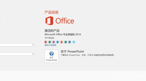 免费office软件怎么用: 免费Office软件的使用方法详解