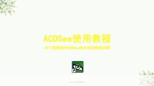 acdsee中文版怎么用: ACDSee中文版的使用方法详解