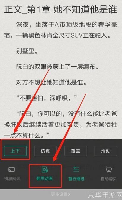 熊猫看书怎么用: 熊猫看书APP使用指南