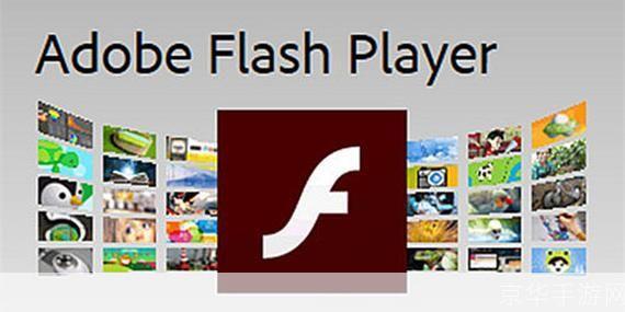 Flash插件的使用方法详解