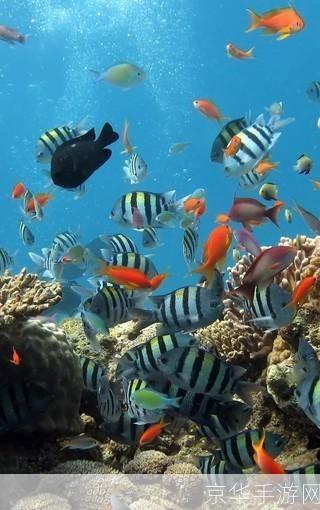 水族馆屏保安装指南