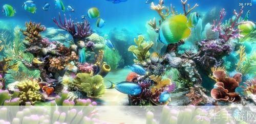 水族馆屏保安装指南