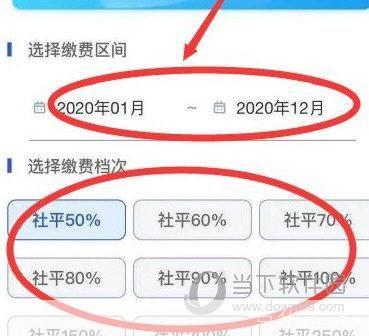 四川e社保app怎么用官网: 四川e社保app使用指南：轻松掌握在线社保服务