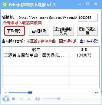 echo回声电脑版—— 打造你的专属音乐世界