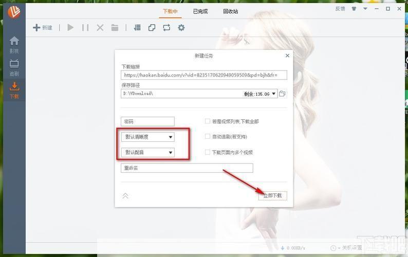 维棠FLV视频下载器的使用方法详解