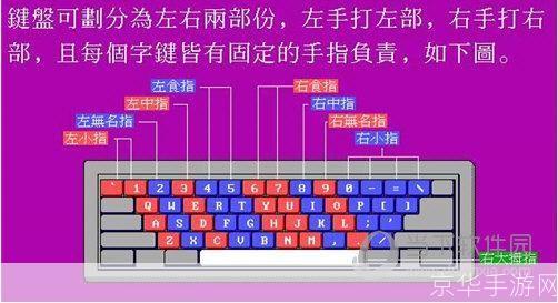 八哥五笔打字员怎么用: 八哥五笔打字员的使用方法详解