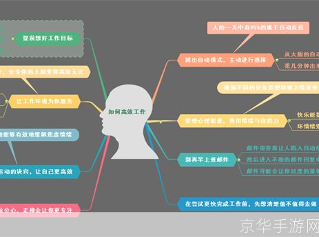 掌握软件使用技巧，提升工作效率
