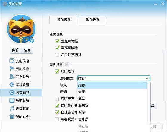 如何正确安装并使用YY官方软件