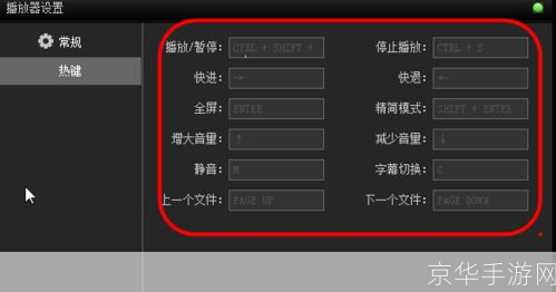 天王影音播放器的详细安装步骤