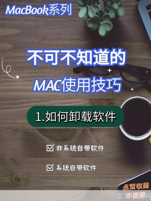 免费软件的使用方法与技巧