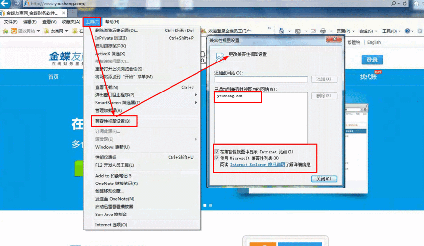 如何安装IE8浏览器：官方指南