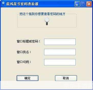 晨风星号密码查看器—— 安全、便捷的密码管理工具