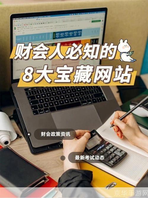 财会软件怎么用: 掌握财会软件的使用技巧：从入门到精通