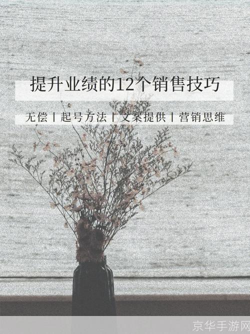 视频广告的运用策略：如何有效提升品牌知名度和销售业绩