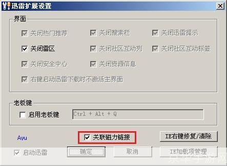 迅雷稳定版使用指南