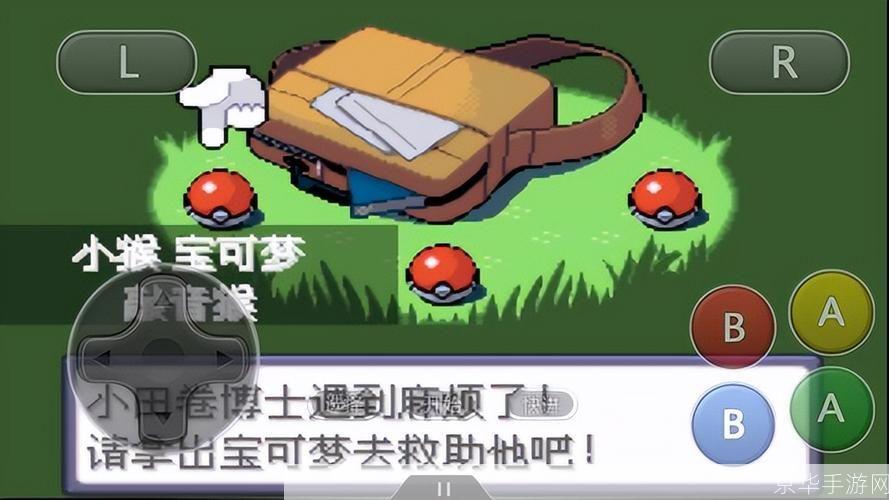 详细步骤指南：如何安装和运行口袋妖怪游戏
