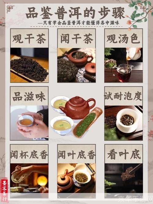 详细步骤指南：如何安装品茗软件