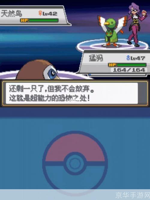 详细步骤教你如何安装口袋妖怪心金