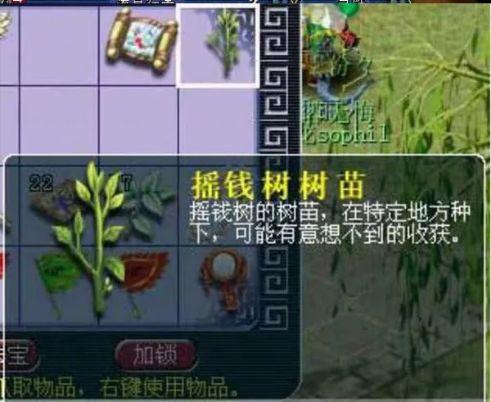梦幻摇钱树苗：玩家必知的种植与奖励全解析