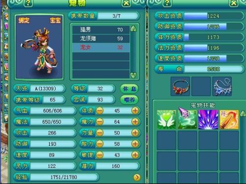 神武龙女资质解析：力量与智慧的完美结合