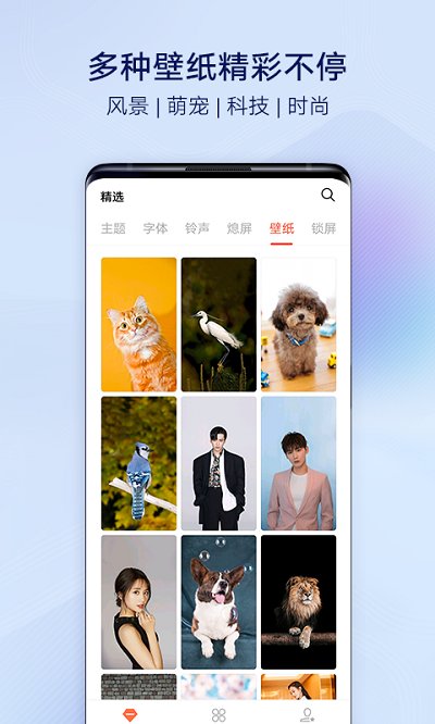 vivo i主题本