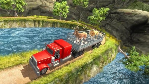 动物运输车驾驶