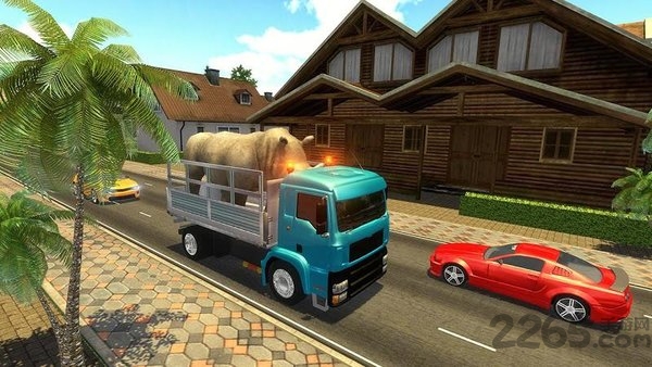 动物运输车驾驶