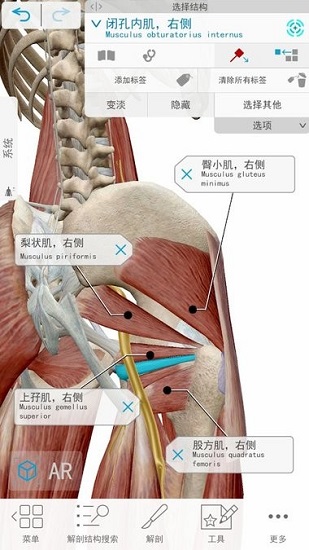 2021人体解剖学图谱app安卓版