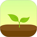 forest专注森林官网